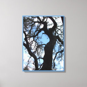 Gnarly Tree Photo Canvas Print (18x24)
