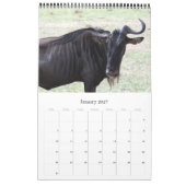 gnoe kalender (Jan 2027)