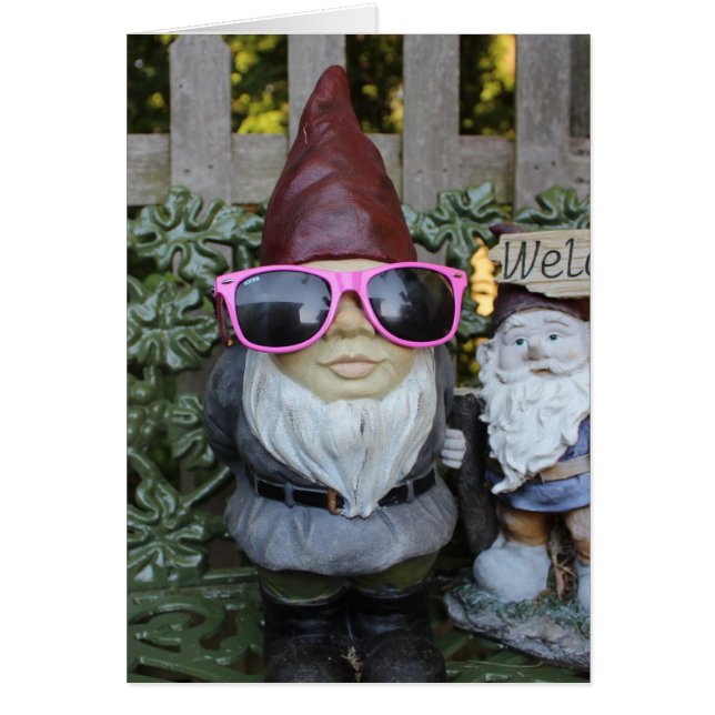 gnome (Devant)