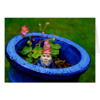 Gnome curieux