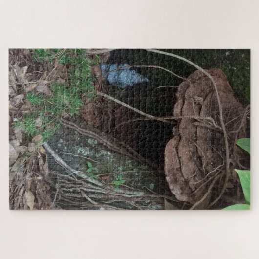 Gnome Home Jigsaw Puzzle (Horizontal)