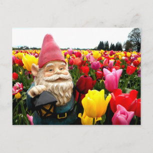 Gnome Petals Briefkaart