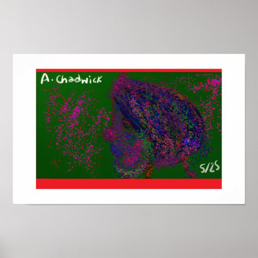 Gnome Quilted Pattern Poster (Voorkant)