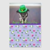 Gnome Toss St. Patrick's Day (Voorkant)