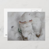 Gnoom in sneeuw. briefkaart (Voorkant / Achterkant)