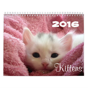 Go Cute ~ Go Kittens 2016-agenda Kalender