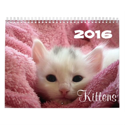 Go Cute ~ Go Kittens 2016-agenda Kalender (Hoes)