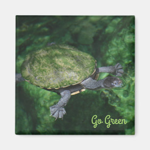 Go Green Turtle Magnet Magneet