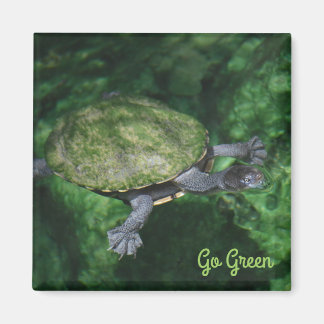 Go Groene schildpad magneet