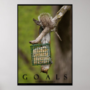 GOALS Inspirational Funny Squirrel Poster Print