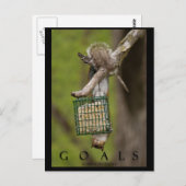 GOALS Inspirerend Grappige Eekhoorn Briefkaarten (Voorkant / Achterkant)