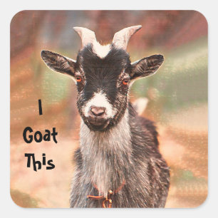 Goat Cute Funny, ik ga hier naartoe Vierkante Sticker