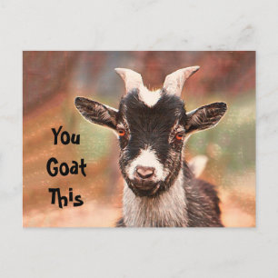 Goat Cute Funny You Goat this Briefkaart