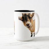 Goat Cute Peeking Coffee Mug (Devant droit)