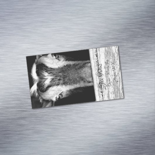 Goat Magnet Magnetisch Visitekaartje (Voorbeeld)