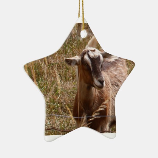 Goat Ornament (Rechts)