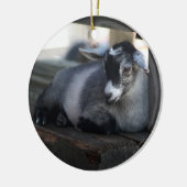 Goat Ornament (Links)