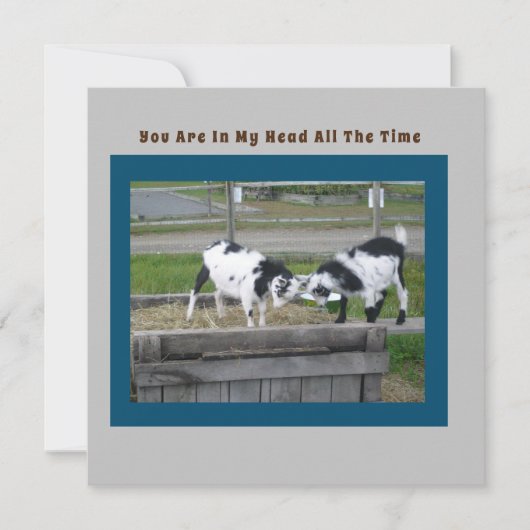 Goat Sense-Kaart (Voorkant)