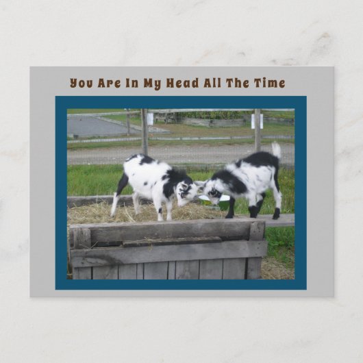 Goat Sense Post Card Briefkaart (Voorkant)