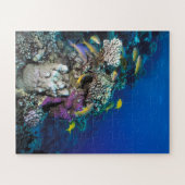 Goatfish Swarm Around Small Coral Legpuzzel (Horizontaal)