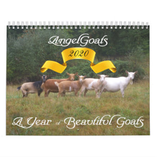 Goats Calendar Beauful Goats Angel Kalender