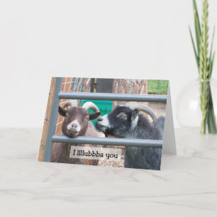 Goats Love - Carte d'Art Cadre