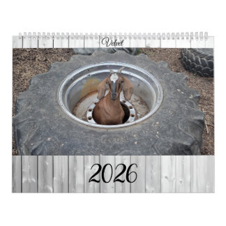 Goats of 2026 calendar kalender