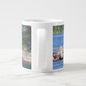 goats on rocks mug (Dos)