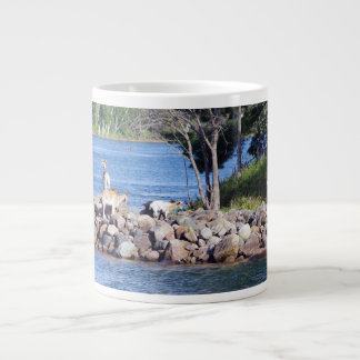 goats on rocks mug