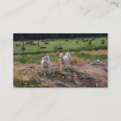 Goats'n Hay Visitekaartje (Achterkant)