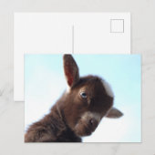 Goatzilla Briefkaart (Voorkant / Achterkant)