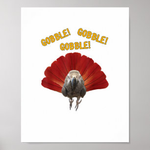 Gobble! Thanksgiving Afrikaanse grijze papegaai Poster