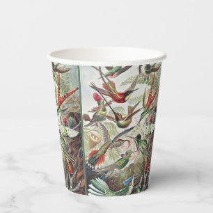 Gobelets En Papier Affiche vintage d'Ernst Haeckel sur les colibris c