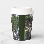 Gobelets En Papier Arbre Avocado (Gauche)