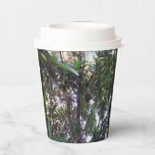 Gobelets En Papier Arbre Avocado (Verso)