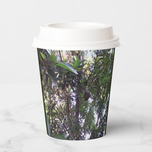 Gobelets En Papier Arbre Avocado (Verso)