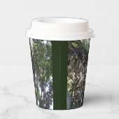 Gobelets En Papier Arbre Avocado (Droite)