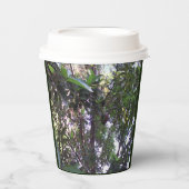 Gobelets En Papier Arbre Avocado (Recto)