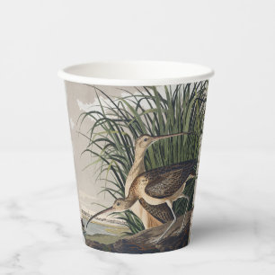 Gobelets En Papier Art vintage d'oiseau Courlis à long bec d'Audubon