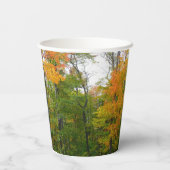 Gobelets En Papier Automne Maple Trees Automne Photographie de la nat (Verso)