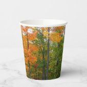 Gobelets En Papier Automne Maple Trees Automne Photographie de la nat (Gauche)