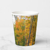 Gobelets En Papier Automne Maple Trees Automne Photographie de la nat (Droite)