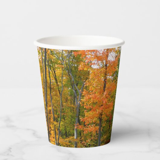 Gobelets En Papier Automne Maple Trees Automne Photographie de la nat (Recto)