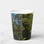 Gobelets En Papier Bear Lake au parc national Rocky Mountain (Droite)