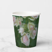 Gobelets En Papier Beau jardin rose clair roses (Verso)