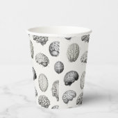 Gobelets En Papier Brain Anatomy Biology Illustrations (Droite)