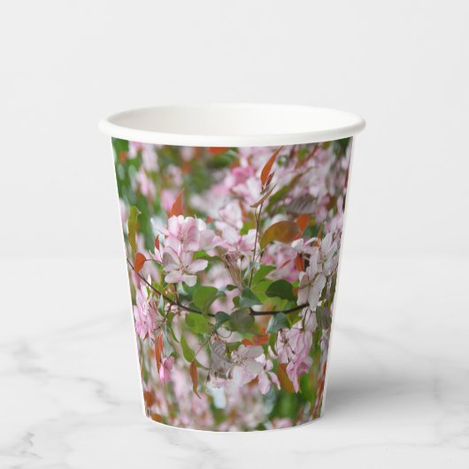 Gobelets En Papier Branche délicate avec fleurs pommier (Recto)