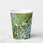 Gobelets En Papier Branche of Dogwood Blossoms Spring Trees (Verso)