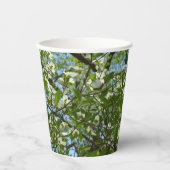Gobelets En Papier Branche of Dogwood Blossoms Spring Trees (Recto)