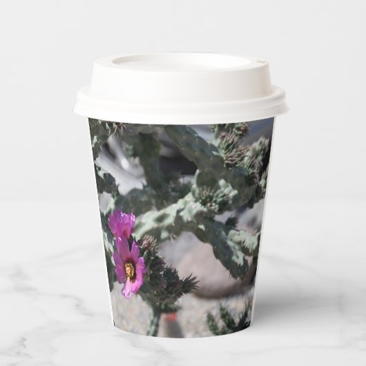 Gobelets En Papier Cactus Challa en fleurs (Recto)